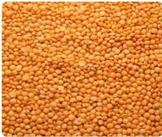 lentils seeds